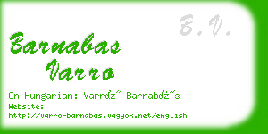 barnabas varro business card